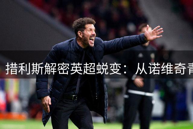 措利斯解密英超蜕变：从诺维奇青涩到阿森纳锋芒毕露