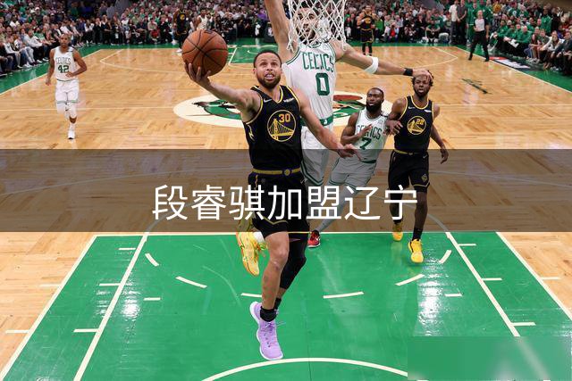 段睿骐加盟辽宁